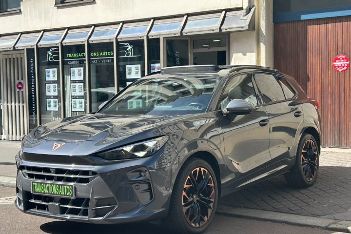 CUPRA TERRAMAR 